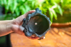 Small Black Tree Stump Like Planter, For Terrarium, Microlandscape -Terrarium Plant Hub IMG 1963