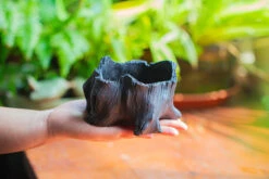 Small Black Tree Stump Like Planter, For Terrarium, Microlandscape -Terrarium Plant Hub IMG 1964