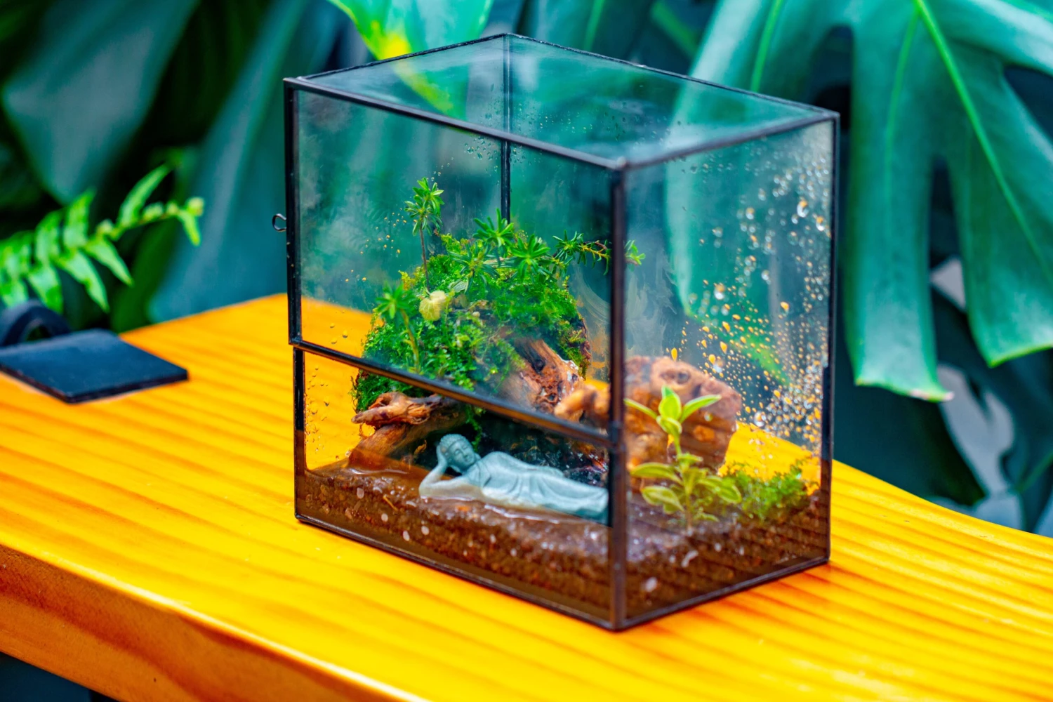 Handmade 7x7 Inches Watertight Glass Terrarium With Door, For Moss 21 Handmade 7x7 Inches Watertight Glass Terrarium With Door, For Moss - Image 19