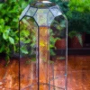 Vintage Tall Octagon Geometric Tin Glass Terrarium , 12.6" , Open, Suitable For Tall Plants, Orchid, Small Begonia Pitcher, Micro Landscape -Terrarium Plant Hub IMG 2024 04 18T07 52 45.976Z