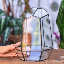 NCYP Large Close Geometric Glass Terrarium With Door, Tin Sealed Irregular Tall Planter For Moss Flower Pot