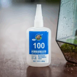 Front Page 16 Front Page -Terrarium Plant Hub IMG 2024 04 22T03 37 01.325Z