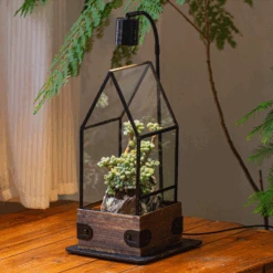Handmade Glass Terrarium With Wood Base, House Shape Planter With Door, With LED Acrylic Lamp Base For Plants, Moss Landscapes, Plant Lover Gift -Terrarium Plant Hub IMG 2024 07 23T08 32 01.134Z 1