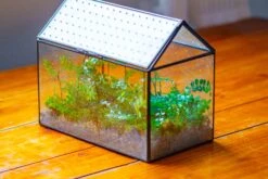 Handmade Close House-shaped Glass Terrarium Enclosure, With Acrylic Mesh Vent, For Jumping Spider, Snail Habitat, Terrarium Only -Terrarium Plant Hub IMG 2025