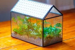 Handmade Close House-shaped Glass Terrarium Enclosure, With Acrylic Mesh Vent, For Jumping Spider, Snail Habitat, Terrarium Only -Terrarium Plant Hub IMG 2026