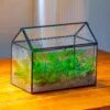 Handmade Close House-shaped Glass Terrarium Enclosure, With Acrylic Mesh Vent, For Jumping Spider, Snail Habitat, Terrarium Only -Terrarium Plant Hub IMG 2029 1