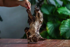 Natural Driftwood For Moss Terrarium, Miniature, Micro Landscape, Unique 12-28, Suitable For Both Live And Preserved Moss -Terrarium Plant Hub IMG 2050