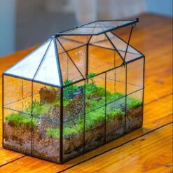 NCYP Glass Geometric Terrarium Tin-Sealed Brass Black House Shape Container With Grid And Swing Lid -Terrarium Plant Hub IMG 2053 1
