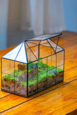 NCYP Glass Geometric Terrarium Tin-Sealed Brass Black House Shape Container With Grid And Swing Lid -Terrarium Plant Hub IMG 2053 17802513 28e4 42e8 89c1 df5d2962a863