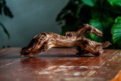 Natural Driftwood For Moss Terrarium, Miniature, Micro Landscape, Unique 12-65, Suitable For Both Live And Preserved Moss -Terrarium Plant Hub IMG 2057