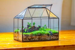 NCYP Glass Geometric Terrarium Tin-Sealed Brass Black House Shape Container With Grid And Swing Lid -Terrarium Plant Hub IMG 2057 5fb52cac 35ff 47b2 affa a5e5bd53e73b
