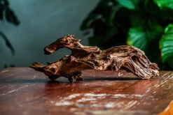 Natural Driftwood For Moss Terrarium, Miniature, Micro Landscape, Unique 12-64, Suitable For Both Live And Preserved Moss -Terrarium Plant Hub IMG 2059