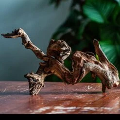 Natural Driftwood For Moss Terrarium, Miniature, Micro Landscape, Unique 12-64, Suitable For Both Live And Preserved Moss -Terrarium Plant Hub IMG 2060