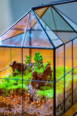 NCYP Glass Geometric Terrarium Tin-Sealed Brass Black House Shape Container With Grid And Swing Lid -Terrarium Plant Hub IMG 2067 d94275d6 4592 4145 93e5 0d46d78b5552