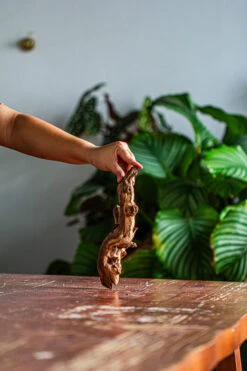 Natural Driftwood For Moss Terrarium, Miniature, Micro Landscape, Unique 12-57, Suitable For Both Live And Preserved Moss -Terrarium Plant Hub IMG 2096