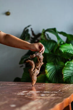 Natural Driftwood For Moss Terrarium, Miniature, Micro Landscape, Unique 12-57, Suitable For Both Live And Preserved Moss -Terrarium Plant Hub IMG 2097