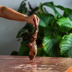 Natural Driftwood For Moss Terrarium, Miniature, Micro Landscape, Unique 12-57, Suitable For Both Live And Preserved Moss -Terrarium Plant Hub IMG 2098