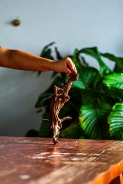 Natural Driftwood For Moss Terrarium, Miniature, Micro Landscape, Unique 12-44, Suitable For Both Live And Preserved Moss -Terrarium Plant Hub IMG 2100