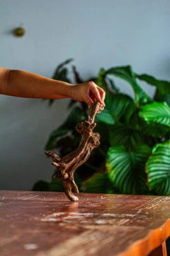 Natural Driftwood For Moss Terrarium, Miniature, Micro Landscape, Unique 12-44, Suitable For Both Live And Preserved Moss -Terrarium Plant Hub IMG 2101