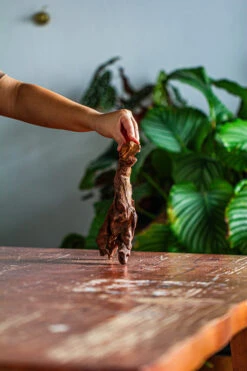 Natural Driftwood For Moss Terrarium, Miniature, Micro Landscape, Unique 12-59, Suitable For Both Live And Preserved Moss -Terrarium Plant Hub IMG 2104