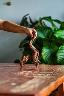 Natural Driftwood For Moss Terrarium, Miniature, Micro Landscape, Unique 12-59, Suitable For Both Live And Preserved Moss -Terrarium Plant Hub IMG 2105