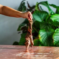 Natural Driftwood For Moss Terrarium, Miniature, Micro Landscape, Unique 12-59, Suitable For Both Live And Preserved Moss -Terrarium Plant Hub IMG 2106