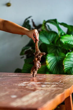 Natural Driftwood For Moss Terrarium, Miniature, Micro Landscape, Unique 12-58, Suitable For Both Live And Preserved Moss -Terrarium Plant Hub IMG 2108