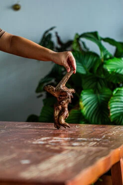 Natural Driftwood For Moss Terrarium, Miniature, Micro Landscape, Unique 12-58, Suitable For Both Live And Preserved Moss -Terrarium Plant Hub IMG 2109