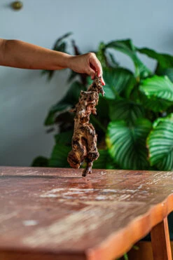 Natural Driftwood For Moss Terrarium, Miniature, Micro Landscape, Unique 12-62, Suitable For Both Live And Preserved Moss -Terrarium Plant Hub IMG 2116