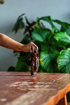 Natural Driftwood For Moss Terrarium, Miniature, Micro Landscape, Unique 12-42, Suitable For Both Live And Preserved Moss -Terrarium Plant Hub IMG 2134