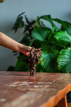 Natural Driftwood For Moss Terrarium, Miniature, Micro Landscape, Unique 12-42, Suitable For Both Live And Preserved Moss -Terrarium Plant Hub IMG 2136