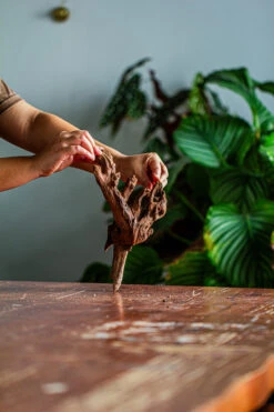 Natural Driftwood For Moss Terrarium, Miniature, Micro Landscape, Unique 12-35, Suitable For Both Live And Preserved Moss -Terrarium Plant Hub IMG 2153