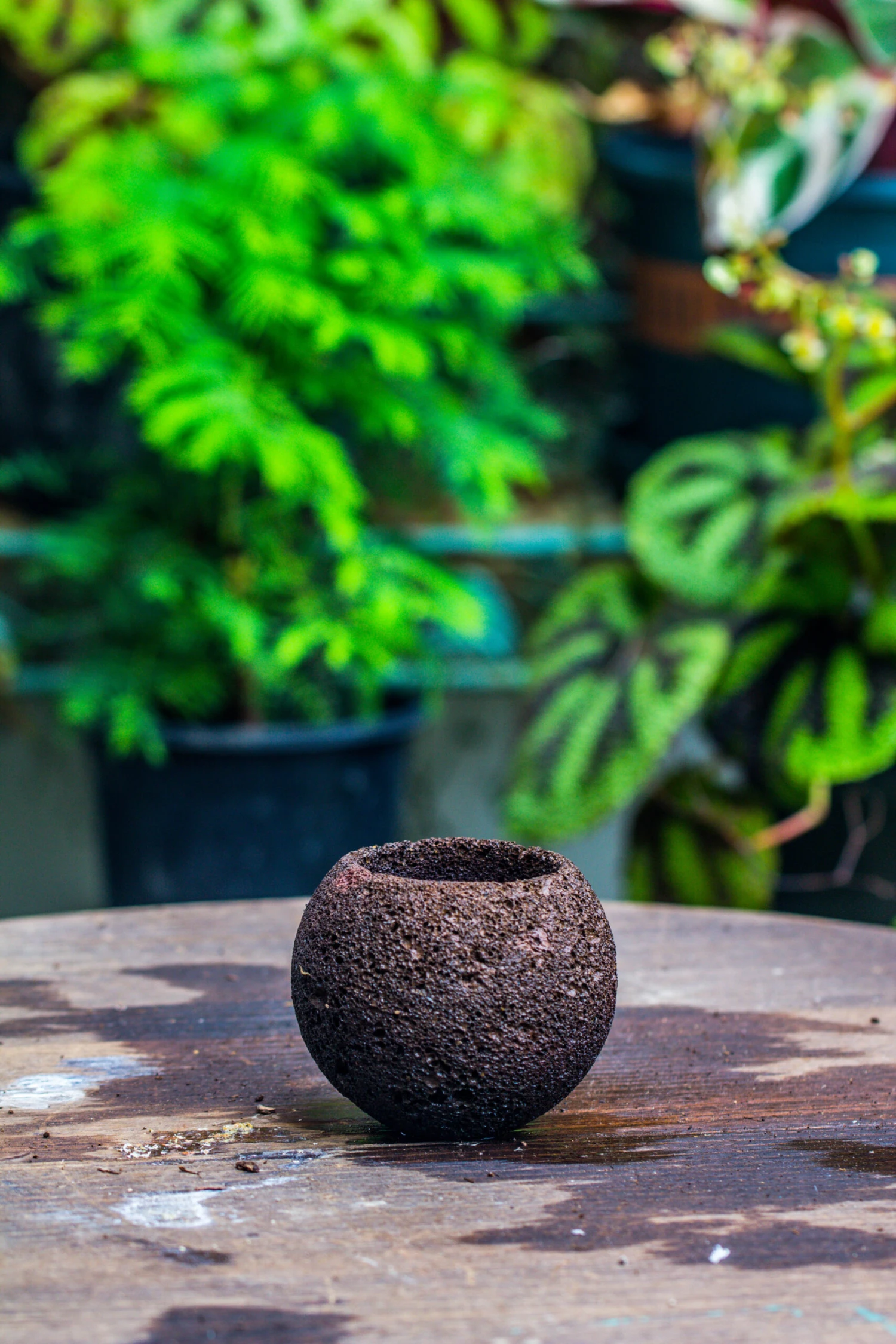 9cm / 3.5" Round Black Horticultural Lava Rock Volcanic Rock Planter For Succulents, Moss, Tropical Palants, Terrariums 5 9cm / 3.5" Round Black Horticultural Lava Rock Volcanic Rock Planter For Succulents, Moss, Tropical Palants, Terrariums - Image 3