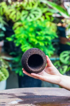 9cm / 3.5" Round Black Horticultural Lava Rock Volcanic Rock Planter For Succulents, Moss, Tropical Palants, Terrariums 21 9cm / 3.5" Round Black Horticultural Lava Rock Volcanic Rock Planter For Succulents, Moss, Tropical Palants, Terrariums -Terrarium Plant Hub IMG 2198