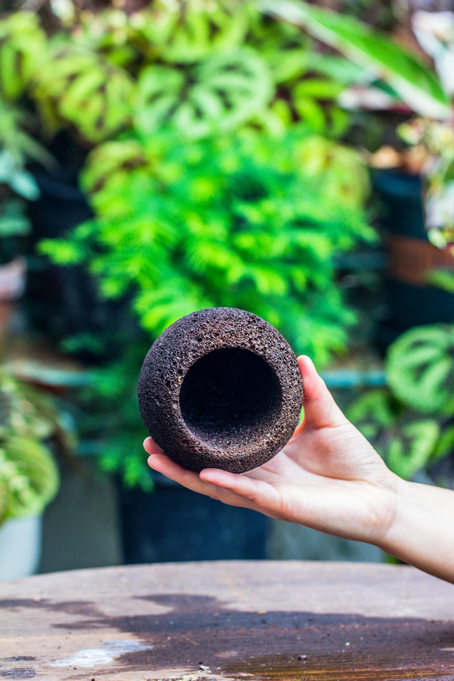 9cm / 3.5" Round Black Horticultural Lava Rock Volcanic Rock Planter For Succulents, Moss, Tropical Palants, Terrariums 7 9cm / 3.5" Round Black Horticultural Lava Rock Volcanic Rock Planter For Succulents, Moss, Tropical Palants, Terrariums - Image 5