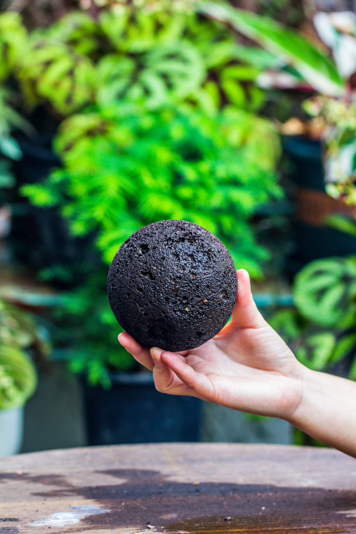 9cm / 3.5" Round Black Horticultural Lava Rock Volcanic Rock Planter For Succulents, Moss, Tropical Palants, Terrariums 8 9cm / 3.5" Round Black Horticultural Lava Rock Volcanic Rock Planter For Succulents, Moss, Tropical Palants, Terrariums - Image 6