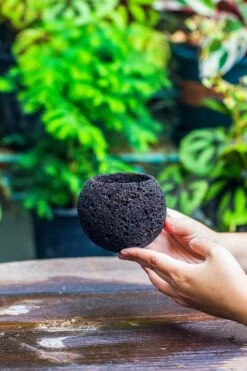 3 Units 10cm / 3.7" Round Red Horticultural Lava Rock Volcanic Rock Planter For Succulents, Moss, Tropical Palants, Terrariums -Terrarium Plant Hub IMG 2213