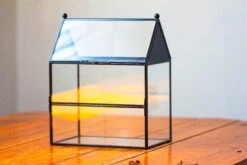 NCYP Simplified House Shape Glass Geometric Terrarium, With Side Door, With Mesh Vent Holes For Small Insects Pet -Terrarium Plant Hub IMG 2213 c0be37a5 3e65 4dca ace3 42a0bc30001c