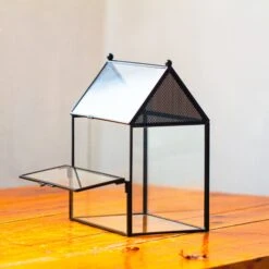 NCYP Simplified House Shape Glass Geometric Terrarium, With Side Door, With Mesh Vent Holes For Small Insects Pet -Terrarium Plant Hub IMG 2220 23f24020 5b4f 4592 a91a 1b972b97397f