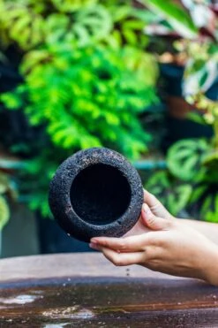 3 Unit 12cm / 4.7" Round Red Horticultural Lava Rock Volcanic Rock Planter For Succulents, Moss, Tropical Palants, Terrariums -Terrarium Plant Hub IMG 2226