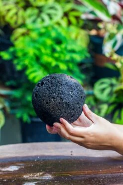 3 Unit 12cm / 4.7" Round Red Horticultural Lava Rock Volcanic Rock Planter For Succulents, Moss, Tropical Palants, Terrariums -Terrarium Plant Hub IMG 2227