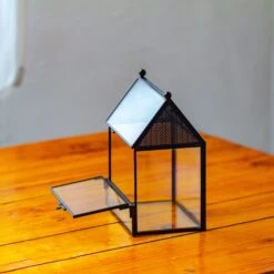 Simplified Mini House Shape Glass Geometric Terrarium For Jumping Spider -Terrarium Plant Hub IMG 2234 f29865cc f0c7 4159 8386 7bb2c75aad1f