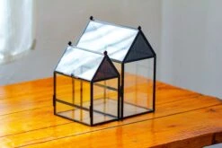 NCYP Simplified House Shape Glass Geometric Terrarium, With Side Door, With Mesh Vent Holes For Small Insects Pet -Terrarium Plant Hub IMG 2239 95970cc6 4a1e 44c3 a09e d821cd225bbe