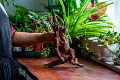 Natural Driftwood For Moss Terrarium, Miniature, Micro Landscape, Unique 12-27, Suitable For Both Live And Preserved Moss -Terrarium Plant Hub IMG 2315