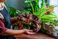 Natural Driftwood For Moss Terrarium, Miniature, Micro Landscape, Unique 12-17, Suitable For Both Live And Preserved Moss -Terrarium Plant Hub IMG 2332