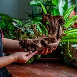 Natural Driftwood For Moss Terrarium, Miniature, Micro Landscape, Unique 12-17, Suitable For Both Live And Preserved Moss -Terrarium Plant Hub IMG 2333