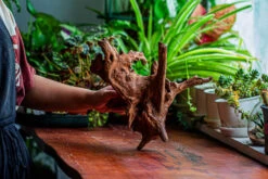 Natural Driftwood For Moss Terrarium, Miniature, Micro Landscape, Unique 12-21, Suitable For Both Live And Preserved Moss -Terrarium Plant Hub IMG 2342