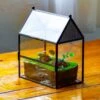NCYP Simplified House Shape Glass Geometric Terrarium, With Side Door, With Mesh Vent Holes For Small Insects Pet -Terrarium Plant Hub IMG 2505