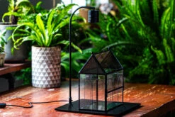 Handmade Twisted Wire House Shape Glass Geometric Terrarium With LED Light Set, Snail Jumping Spider Enclosure, Insect Container Set -Terrarium Plant Hub IMG 2574