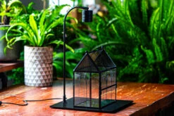 Handmade Twisted Wire House Shape Glass Geometric Terrarium With LED Light Set, Snail Jumping Spider Enclosure, Insect Container Set -Terrarium Plant Hub IMG 2575